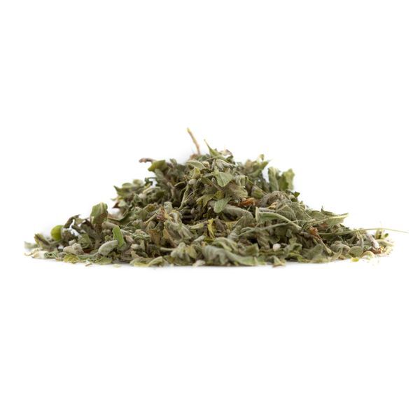 Damiana | Turnera afrodyzjakalna