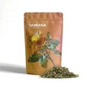 Damiana | Turnera afrodyzjakalna