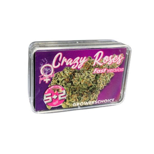 Crazy Roses Fast Version (Growers Choice) feminizowane