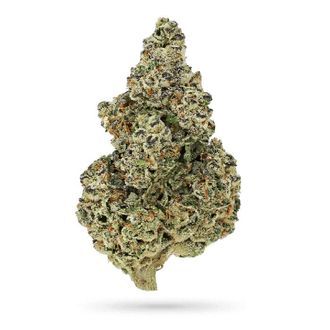 Crazy Roses Fast Version (Growers Choice) feminizowane