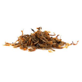 Kwiaty Leonotis leonurus (5 gramów)