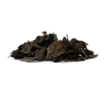 Calea Zacatechichi ekstrakt 10x