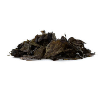 Calea Zacatechichi ekstrakt 10x