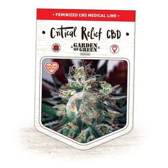 Critical Relief CBD (Garden of Green) feminizowane
