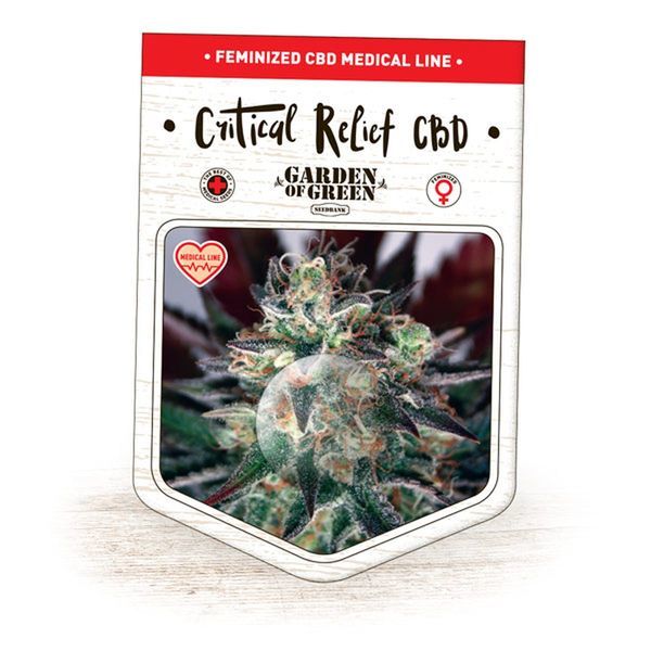 Critical Relief CBD (Garden of Green) feminizowane