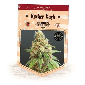 Kosher Kush (Garden of Green) feminizowane