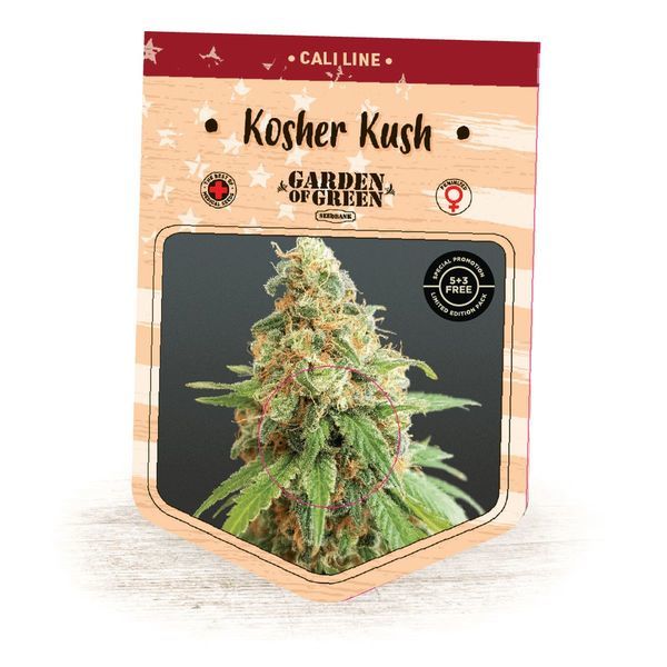 Kosher Kush (Garden of Green) feminizowane