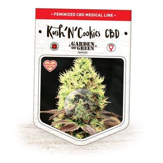 Kush'N'Cookies CBD (Garden of Green) feminizowane