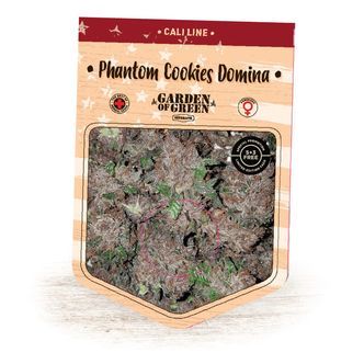 Phantom Cookies Domina (Garden of Green) feminizowane