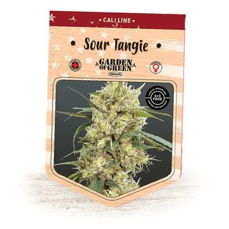 Sour Tangie (Garden of Green) feminizowane