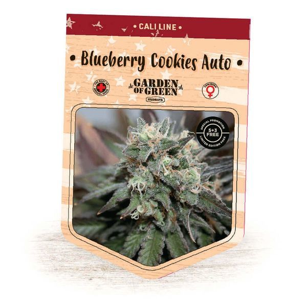 Blueberry Cookies Automat (Garden of Green) feminizowane