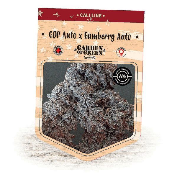 GDP Auto x Gumberry Auto (Garden of Green) feminizowane