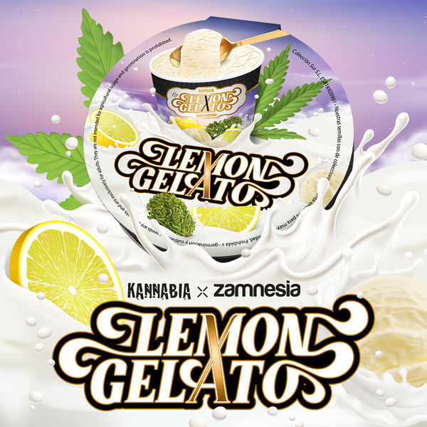 Lemon Gelato (Kannabia x Zamnesia) feminizowane