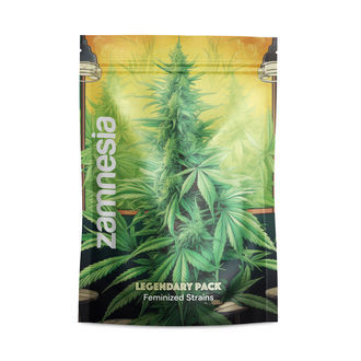 Legendarny Zestaw – Odmiany Feminizowane