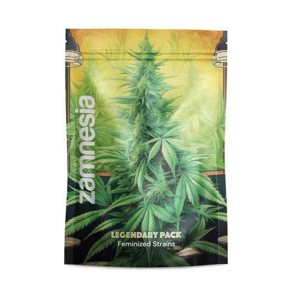 Legendarny Zestaw – Odmiany Feminizowane