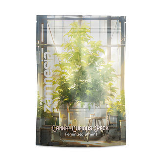 Zestaw Canna-Curious – Odmiany feminizowane