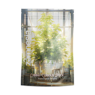 Zestaw Canna-Curious – Odmiany feminizowane