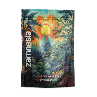 Zestaw "Scent-Sational" – odmiany feminizowane