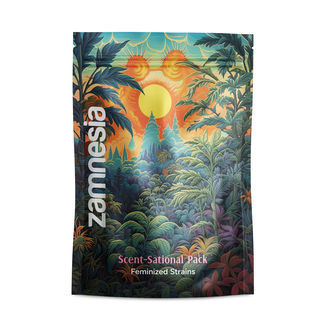 Zestaw "Scent-Sational" – odmiany feminizowane