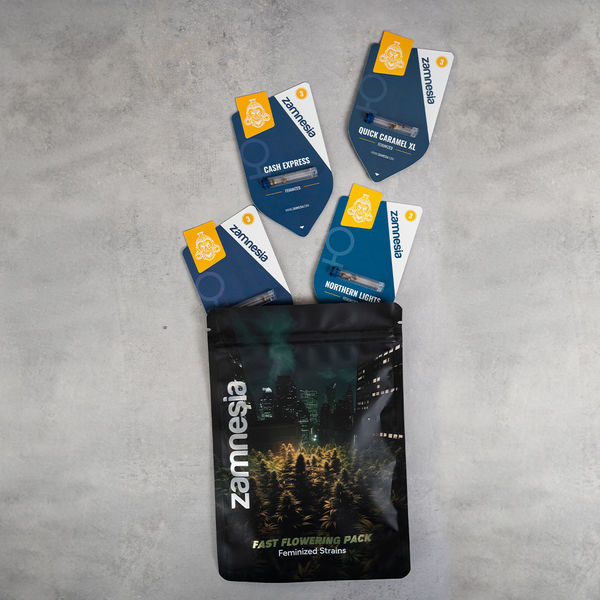 Zestaw Szybkiego Kwitnienia - Odmiany Feminizowane