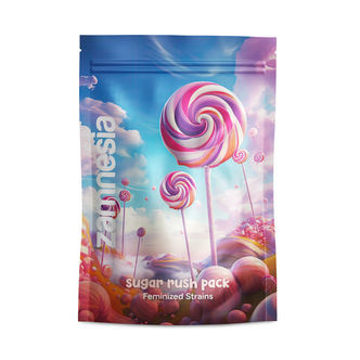 Zestaw Sugar Rush – Odmiany feminizowane