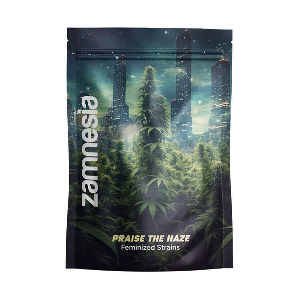 Praise the Haze Pack - odmiany feminizowane