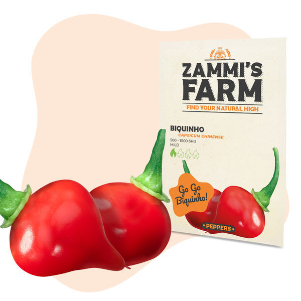 Zestaw łagodnie pikantny – nasiona papryki