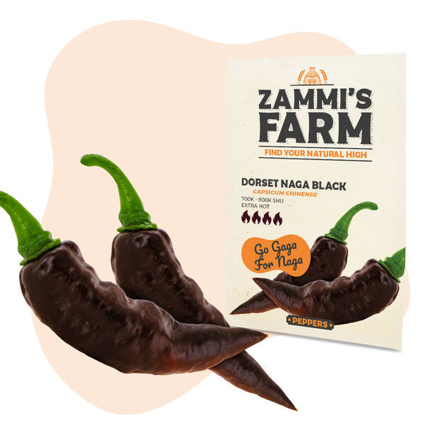 Zestaw Intense Burn – nasiona papryki