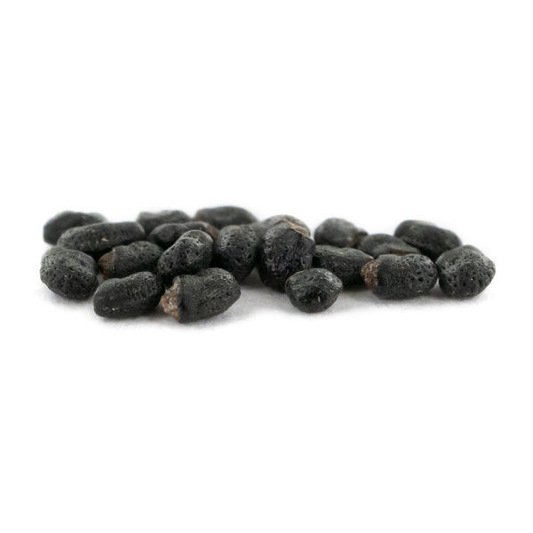 Prickly Pack – nasiona kaktusów meskalinowych