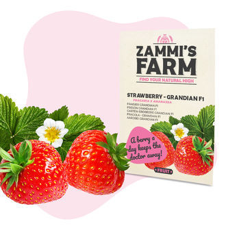 Zestaw nasion owoców – Farma Zammiego