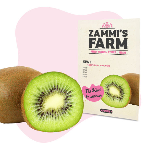 Zestaw nasion owoców – Farma Zammiego