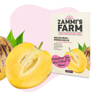 Zestaw nasion owoców – Farma Zammiego