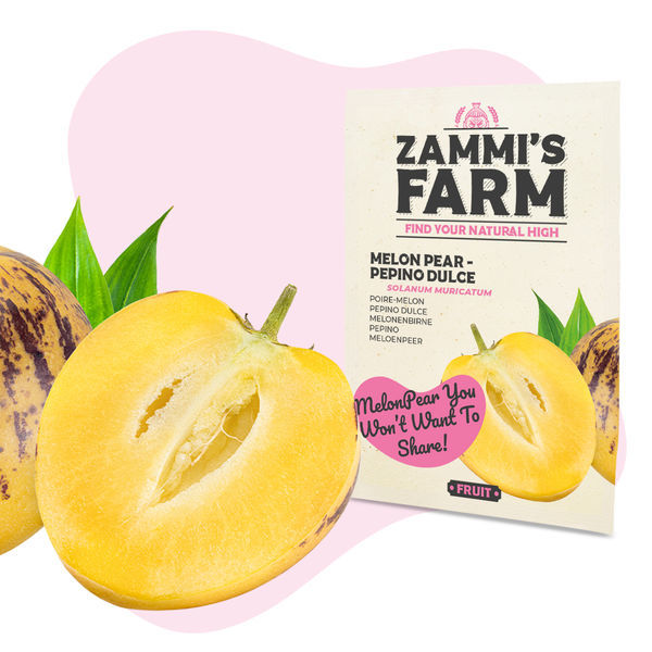 Zestaw nasion owoców – Farma Zammiego