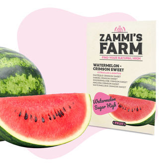 Zestaw nasion owoców – Farma Zammiego