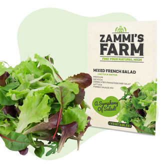 Zestaw nasion warzyw – Zammi's Farm