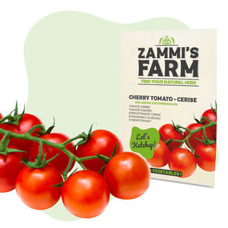 Zestaw nasion warzyw – Zammi's Farm