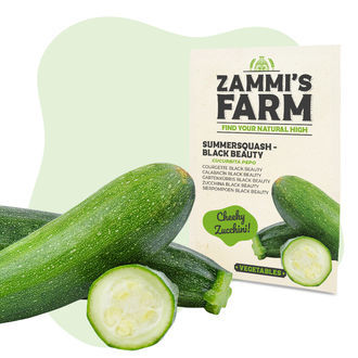 Zestaw nasion warzyw – Zammi's Farm