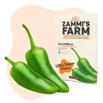 Zestaw nasion warzyw – Zammi's Farm