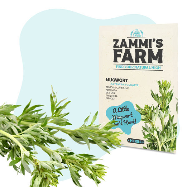 Zestaw Nasion Wellness – Farma Zammiego