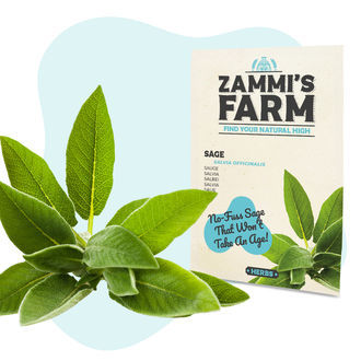 Zestaw Nasion Wellness – Farma Zammiego