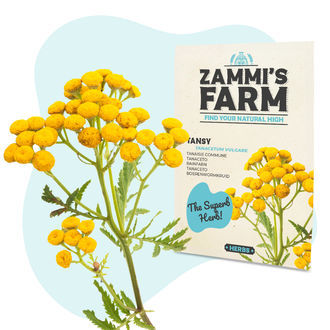 Zestaw Nasion Wellness – Farma Zammiego