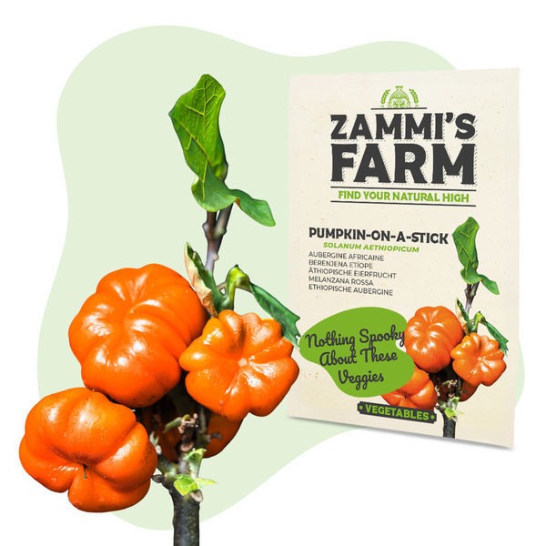 Zestaw Egzotycznych Nasion – Farma Zammi