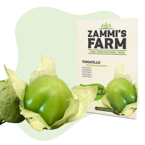 Zestaw Egzotycznych Nasion – Farma Zammi