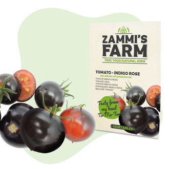 Zestaw Egzotycznych Nasion – Farma Zammi