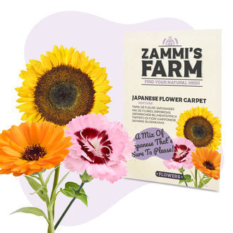 Zestaw nasion kwiatów – Zammi's Farm