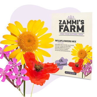 Zestaw nasion kwiatów – Zammi's Farm