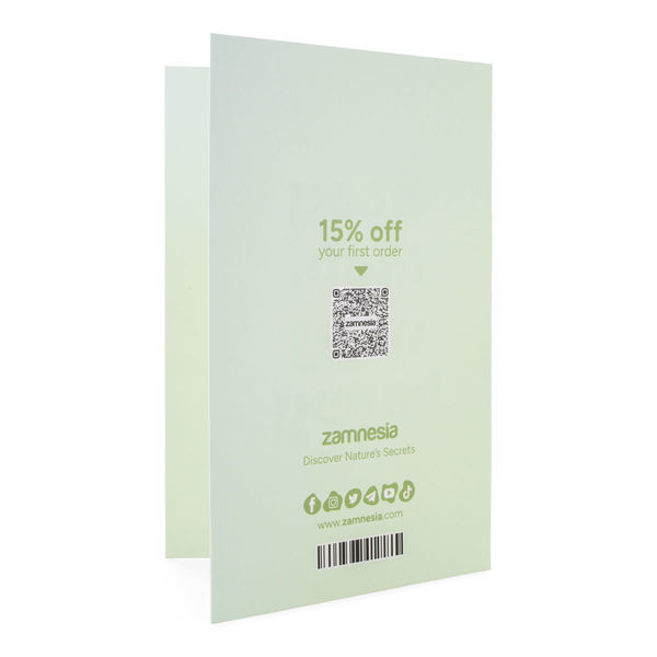 Greeting Card „Przepraszam”