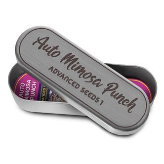 Auto Mimosa Punch (Advanced Seeds) feminizowane