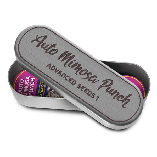 Auto Mimosa Punch (Advanced Seeds) feminizowane
