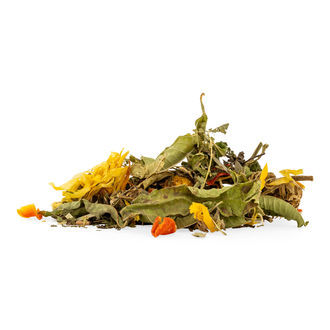 Herbata Fresh & Fitness